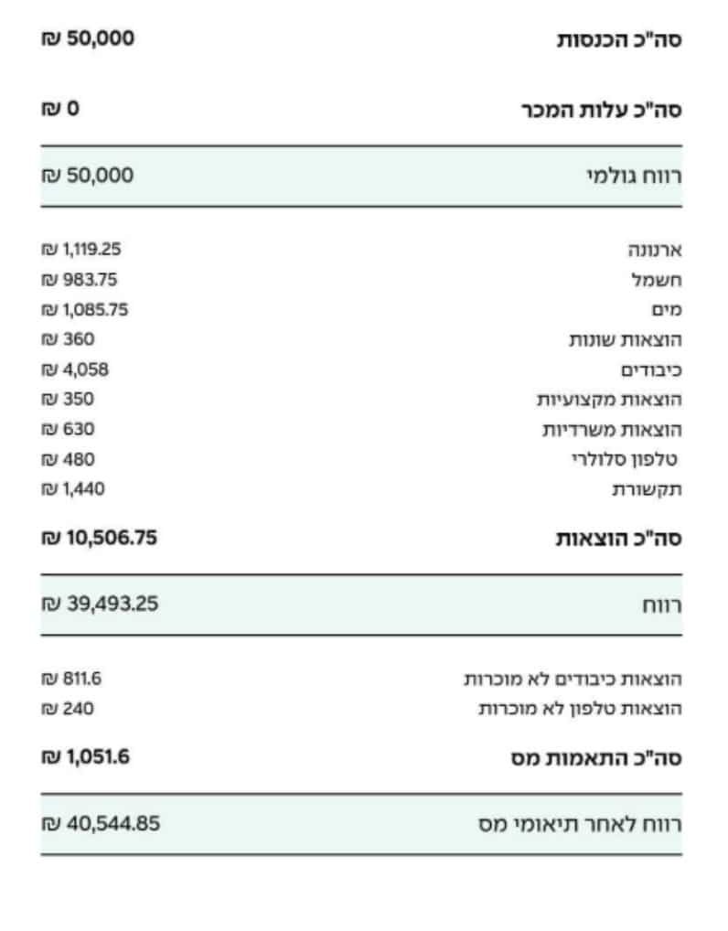 דוח רווח והפסד לדוגמה